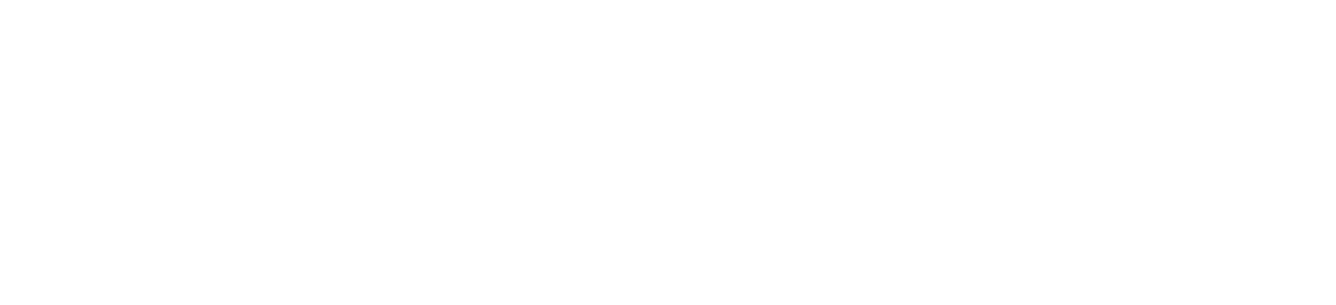 Logo Horizontal - Planari