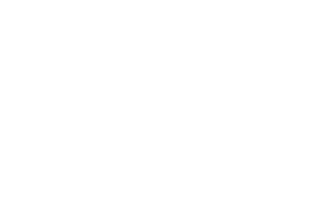 Logo Vertical Branco - Planari